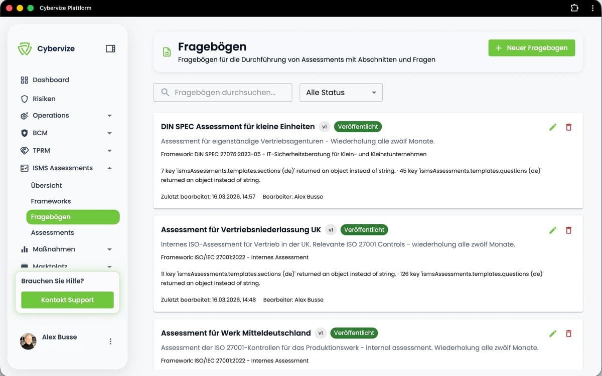 Cybervize Assessment-Fragebogen fuer strukturierte IT-Sicherheitsanalyse